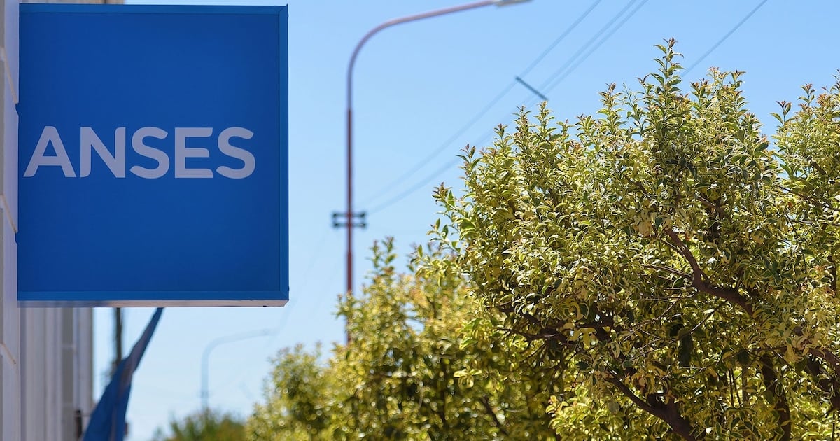 Calendario de pagos de ANSES para octubre: cuándo y cuánto cobran los DNI terminados en 2