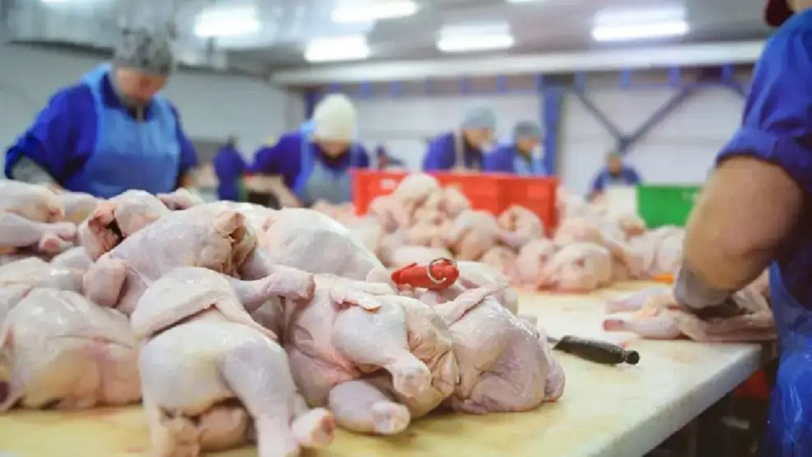 El pollo desplazó a la carne vacuna del primer lugar en la mesa de los argentinos, según un informe privado