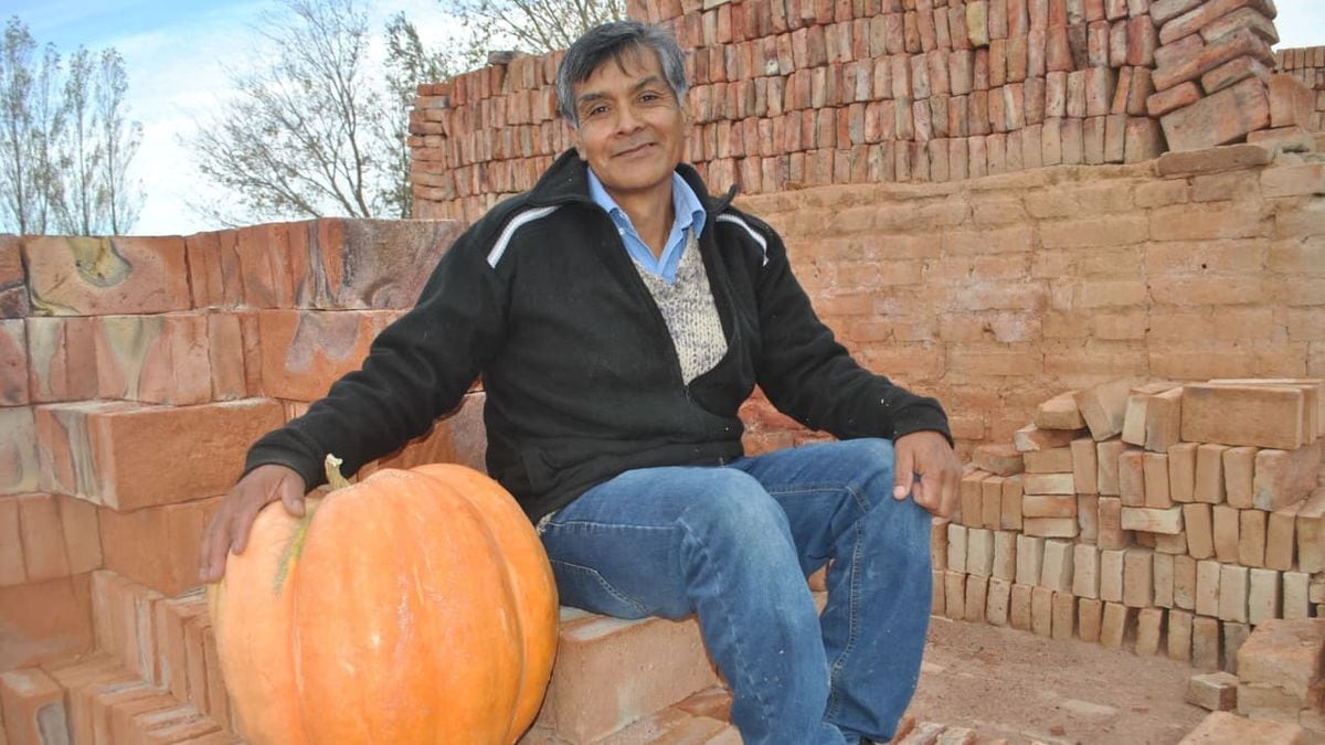 Daniel Ceferino, el ladrillero del Covunco que cambió la pala por la semilla y cosechó un zapallo de 23 kilos