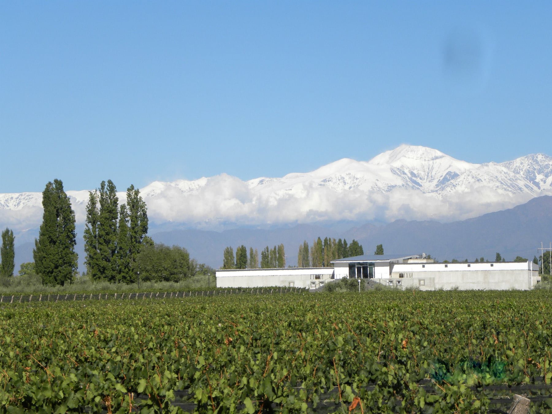 Chacras de Coria: el pueblo mendocino que dejó de ser una parada para convertirse en un destino completo