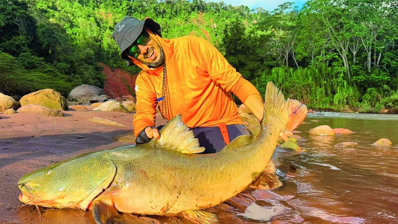 Pesca con devolución en la Amazonía boliviana: quince especies, jornadas de doce horas y piezas de hasta 25 kilos