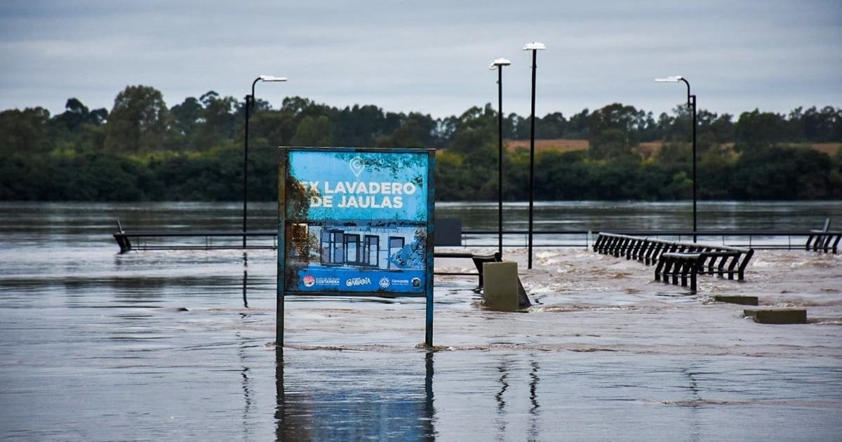 El Niño empuja la carne hacia una suba de hasta 10% en diciembre y alivia, en parte, la boleta de luz