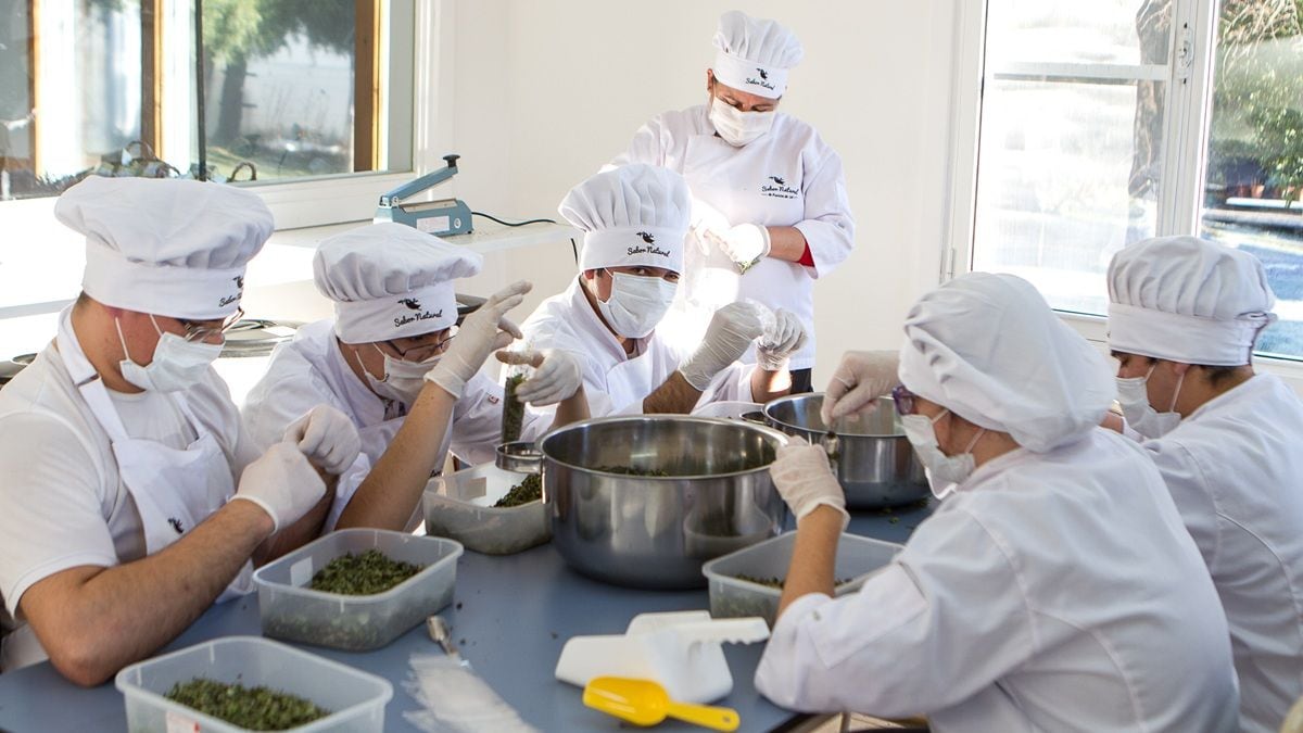 De la chacra al podio inglés: las mermeladas neuquinas que ganaron medallas en un mundial del sabor